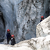 New Zealand, Fox Glacier