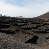 Lanzarote La Geria