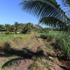 Fiji, Naag Mandir Temple Vanua Levu