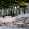 Rotorua, Whakarewarewa, geyser