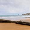 Australtölpel, Cape Kidnappers