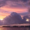 Fiji, Suva, harbour, sunset