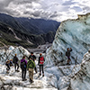 New Zealand, Fox Glacier