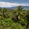 Papua New Guinea, Rabaul, Tavurvur volcano