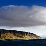 Thousands of Sea Birds and dramatic Cliffs – On the way in the Westfjords