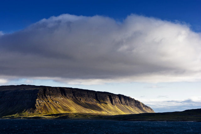 Thousands of Sea Birds and dramatic Cliffs – On the way in the Westfjords