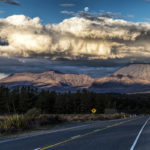New Zealand – Kingdom of the Kiwis