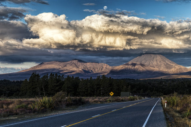 New Zealand – Kingdom of the Kiwis