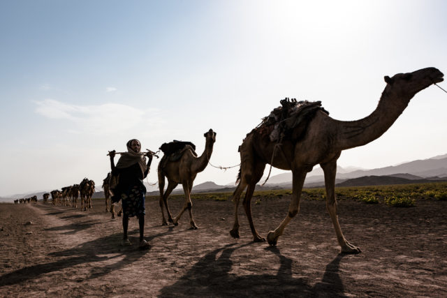 Dusting pointless… On the go through Danakil Desert