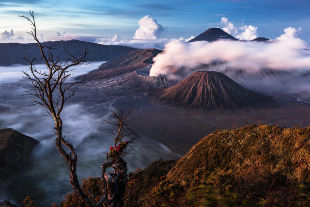 Tourist Battle at the Tengger Caldera