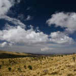 On top of Africa – The Ethiopian Highlands