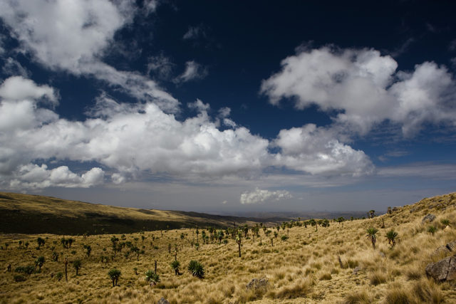 Afrika aufs Dach gestiegen – Das äthiopische Hochland
