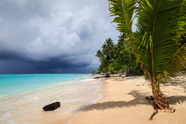Coconuts and Corals – The Pacific Islands