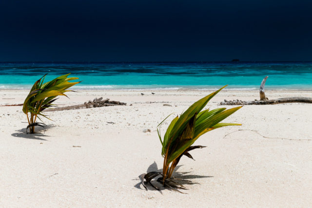 Living at the Landing Strip – The Tuvalu Atoll