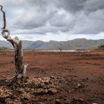 New Caledonia – Kagu’s threatened Home