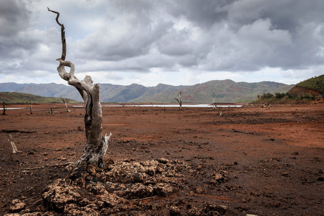 New Caledonia – Kagu’s threatened Home