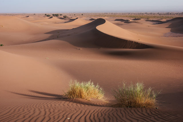 In den Sand gesetzt – Marokkos Wüste