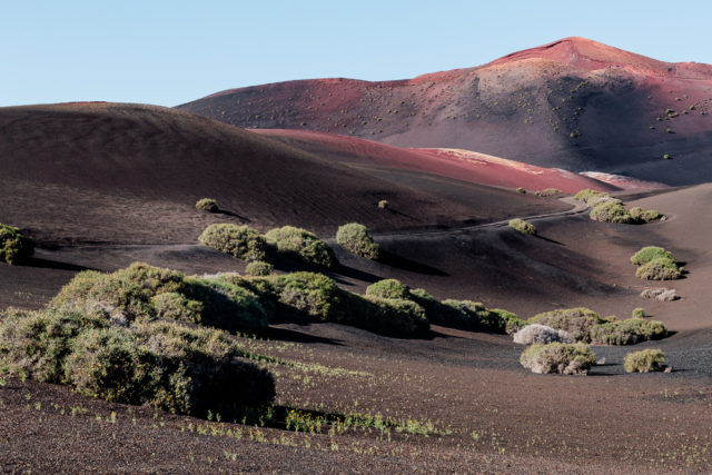 Surfer paradise at Timanfaya volcano – Out and about Lanzarote